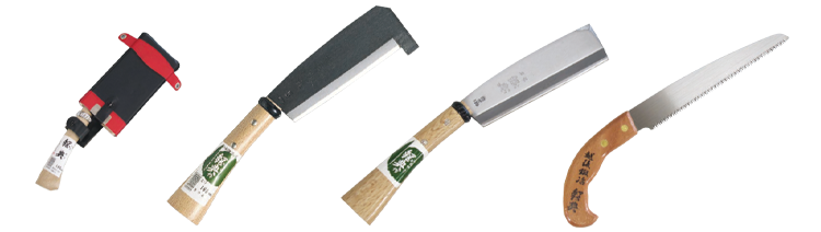 kanenori