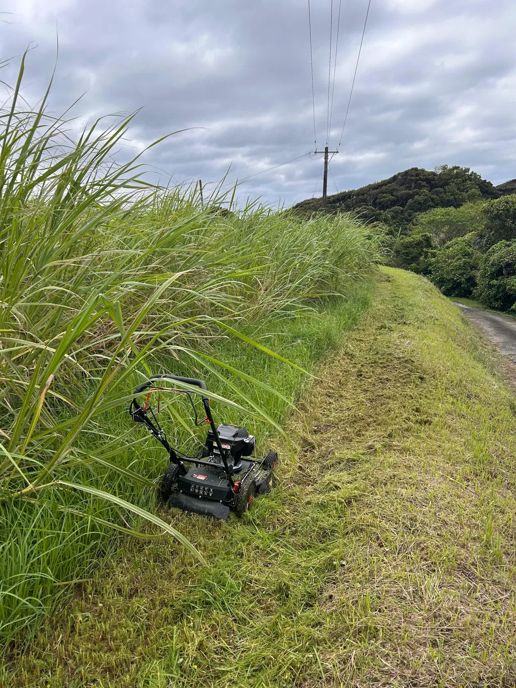 草刈りプロジェクト – 草刈をもっと楽しく！